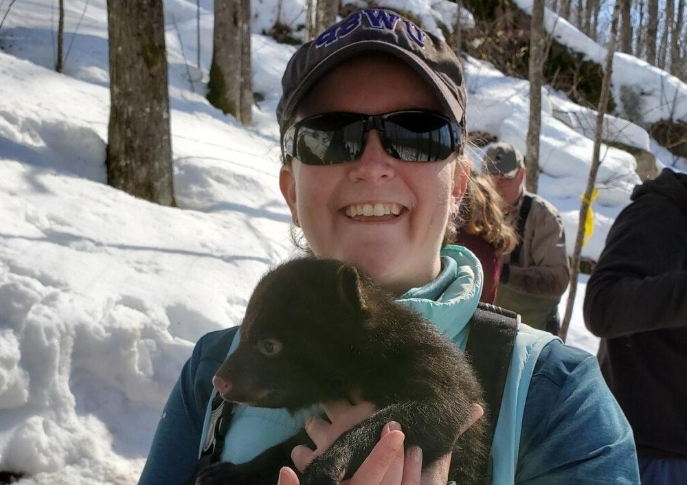 在一个为期周末的研讨会上，副教授Cady Sartini抱着一只小黑熊，学生们在熊窝里进行了实践研究.